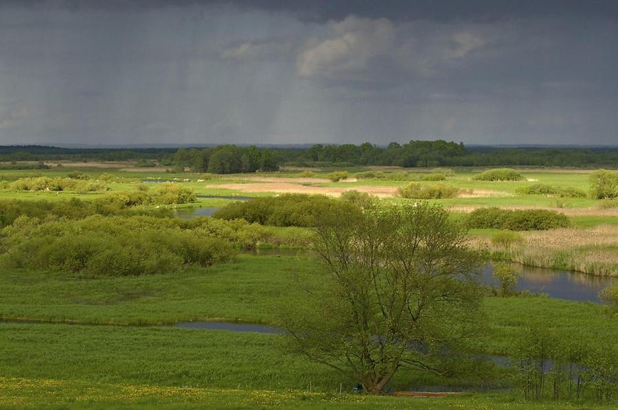 Agroturystyka Carski Trakt Wizna Exterior foto